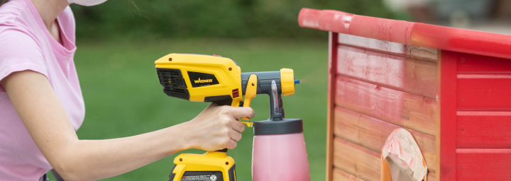 Paint sprayer professional