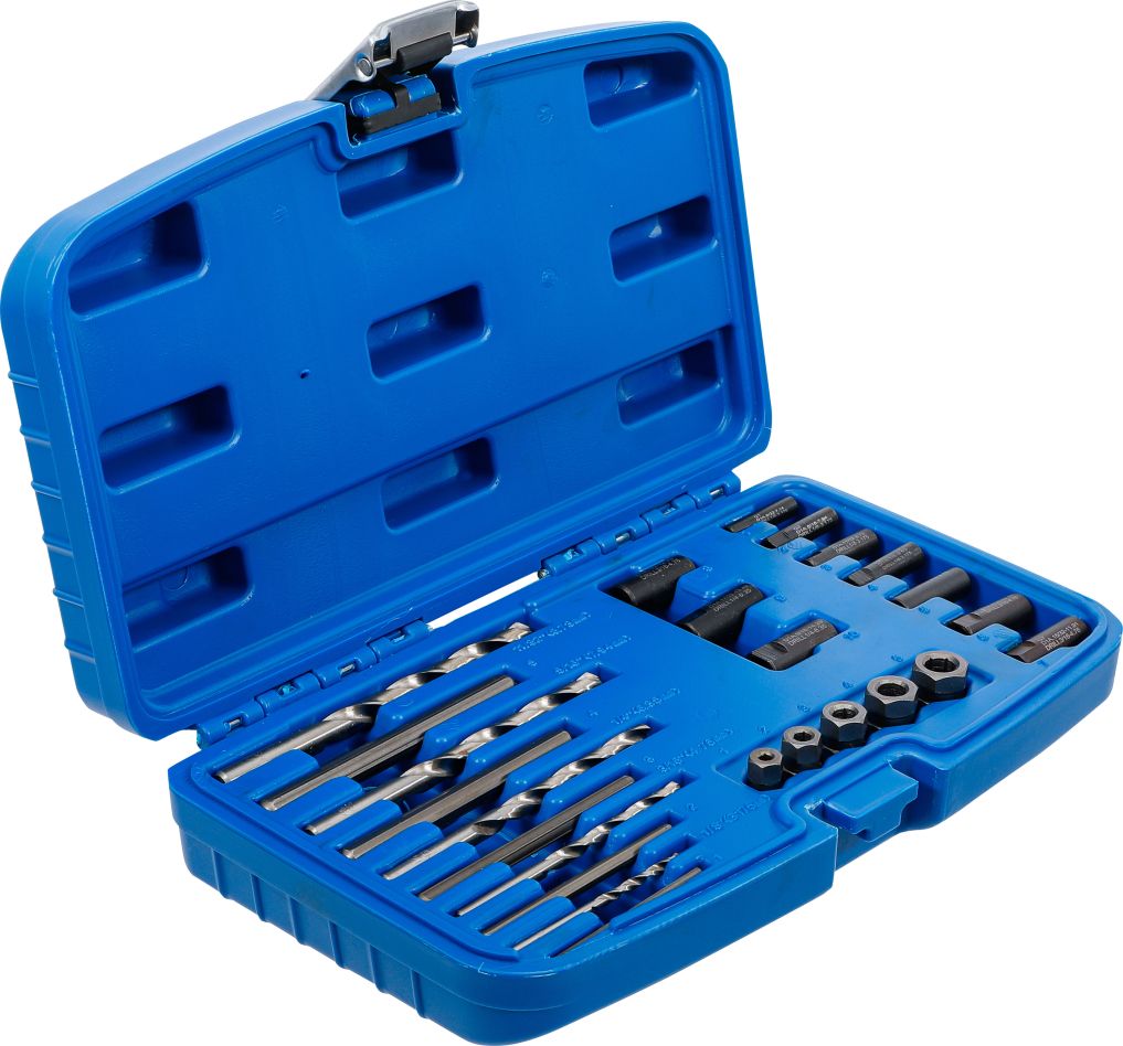 BGS 8462 HSS screwdriver set 25-piece