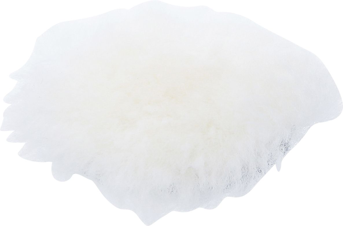 BGS 74479 Polishing disc Ø 75 mm