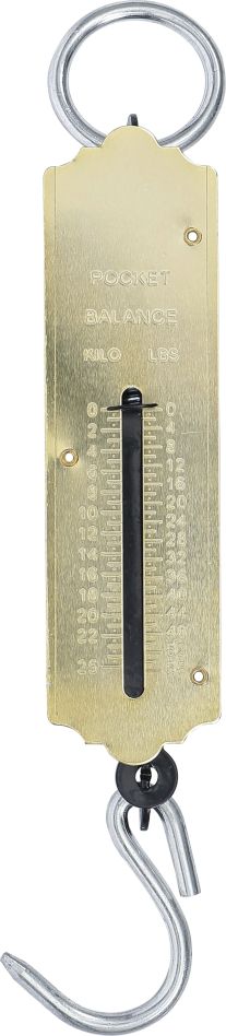 BGS Do It Yourself 8033 Hanging scale max. 25 kg