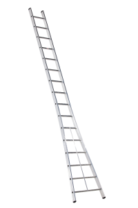 Altrex 515116 Kibo single arched ladder 1 x 16 treads