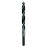 Bosch Professional Accessories 2608596308 Wood spiral drill 11x142 mm - 1