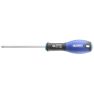 Facom Expert E165319 Screwdriver for Pozidriv® screws - 1