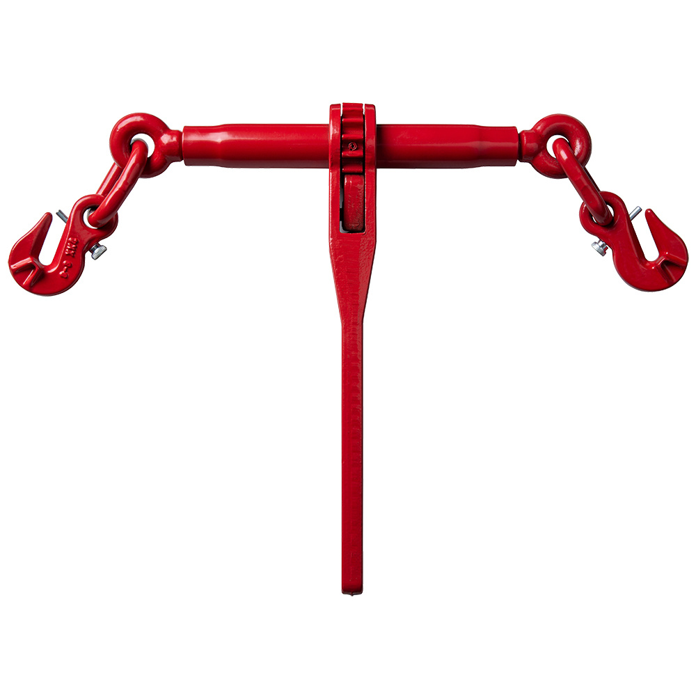 DELTALOCK YE.338.SS.13 Grade 80 Ratchet Load Securing Device with Shortening Hooks and Tag, 100 kN