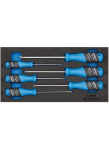 Gedore 2309165 1500 CT1-2163 TXB 3-C screwdriver set in CT module 6 pcs.