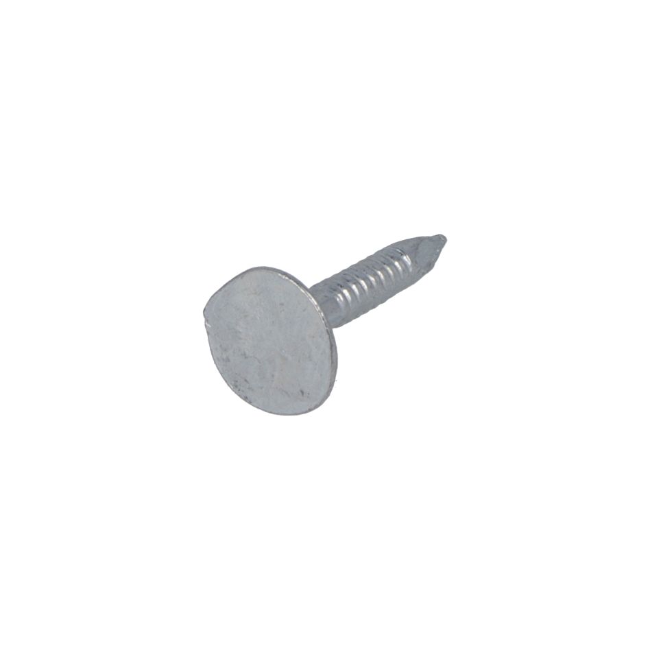 Proftec 5592.01.02210 Asphalt nail VZ PK 3.0 x 15 mm - 1 kg