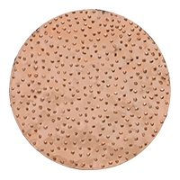 Rokamat 22905 Carbide sanding disc ø200 coarse